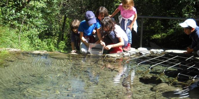 Il Parco è la migliore delle scuole