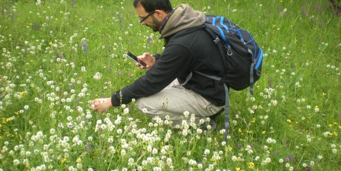 Alla scoperta della natura con BioBlitz Lombardia 2020