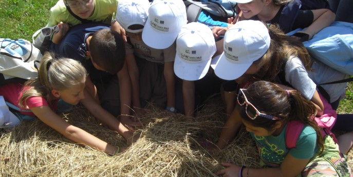 Centri estivi per bambini al Parco Monte Barro