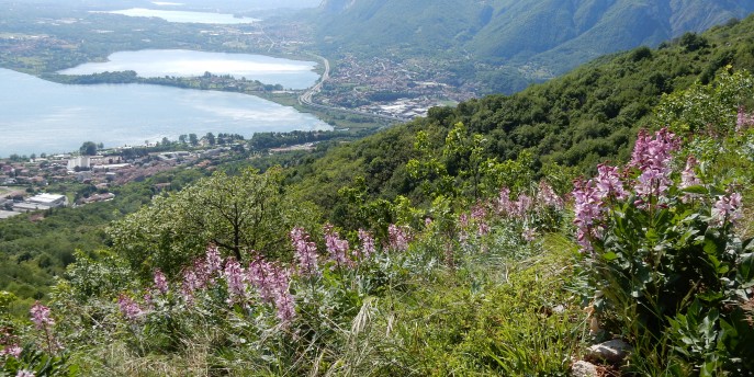 Scopriamo insieme la natura e i paesaggi del Monte Barro