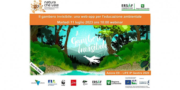 Il gambero invisibile: una web-app per l’educazione ambientale 