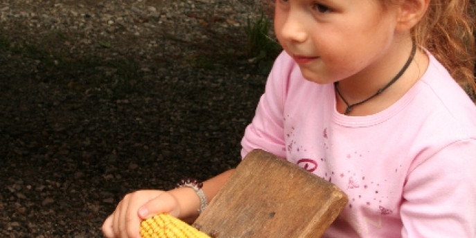 Il granoturco dalla terra alla tavola. Laboratorio per bambini e famiglie