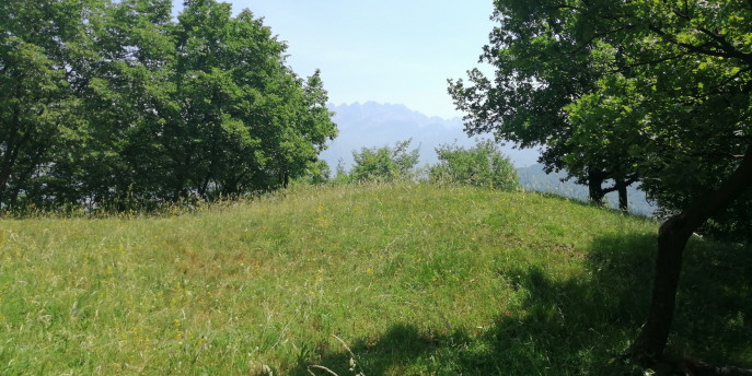 Escursioni nella natura con BioBlitz Lombardia