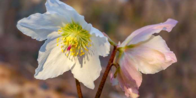 Concorso fotografico al Parco Monte Barro 