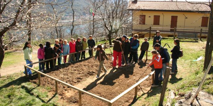 Il campo del nonno