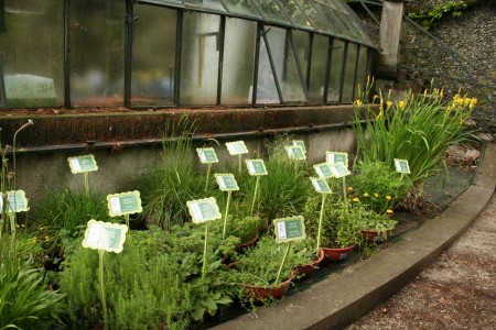 I semi ambasciatori di biodiversità