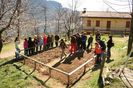 Il campo del nonno