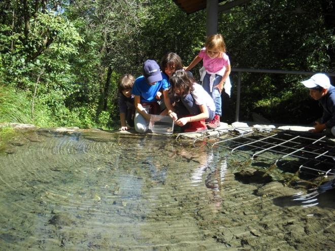 Il Parco è la migliore delle scuole