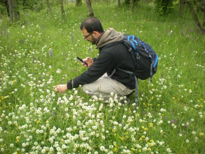 Alla scoperta della natura con BioBlitz Lombardia 2020