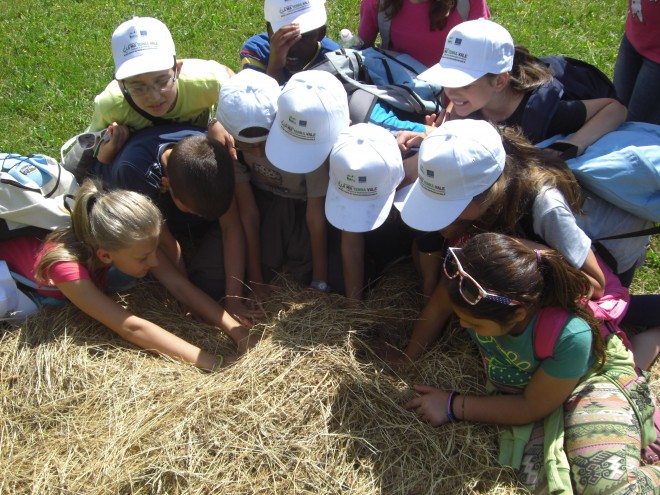 Centri estivi per bambini al Parco Monte Barro