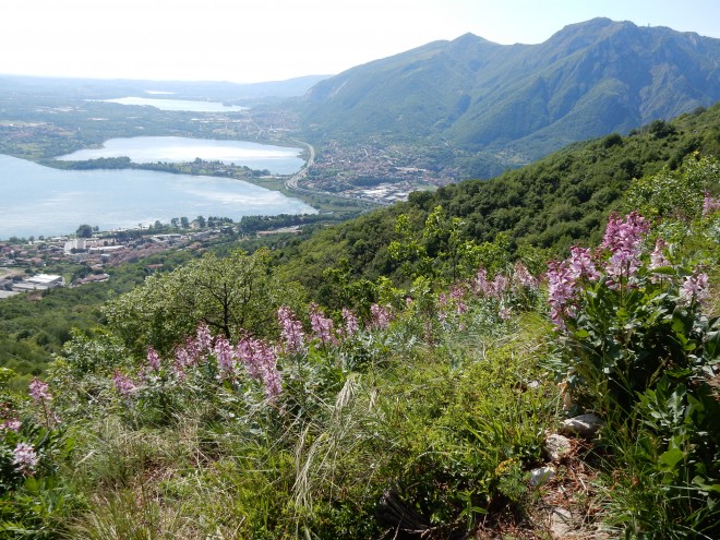 Scopriamo insieme la natura e i paesaggi del Monte Barro