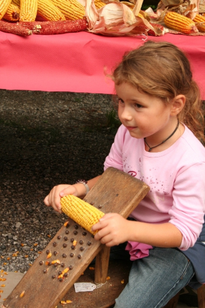 Il granoturco dalla terra alla tavola. Laboratorio per bambini e famiglie