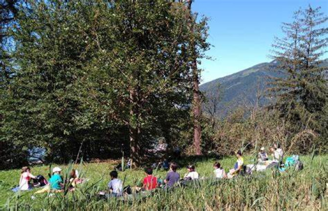 La natura vi aspetta al Parco Monte Barro con i Centri Estivi 2024. Affrettatevi!