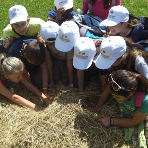 Laboratorio agricoltura